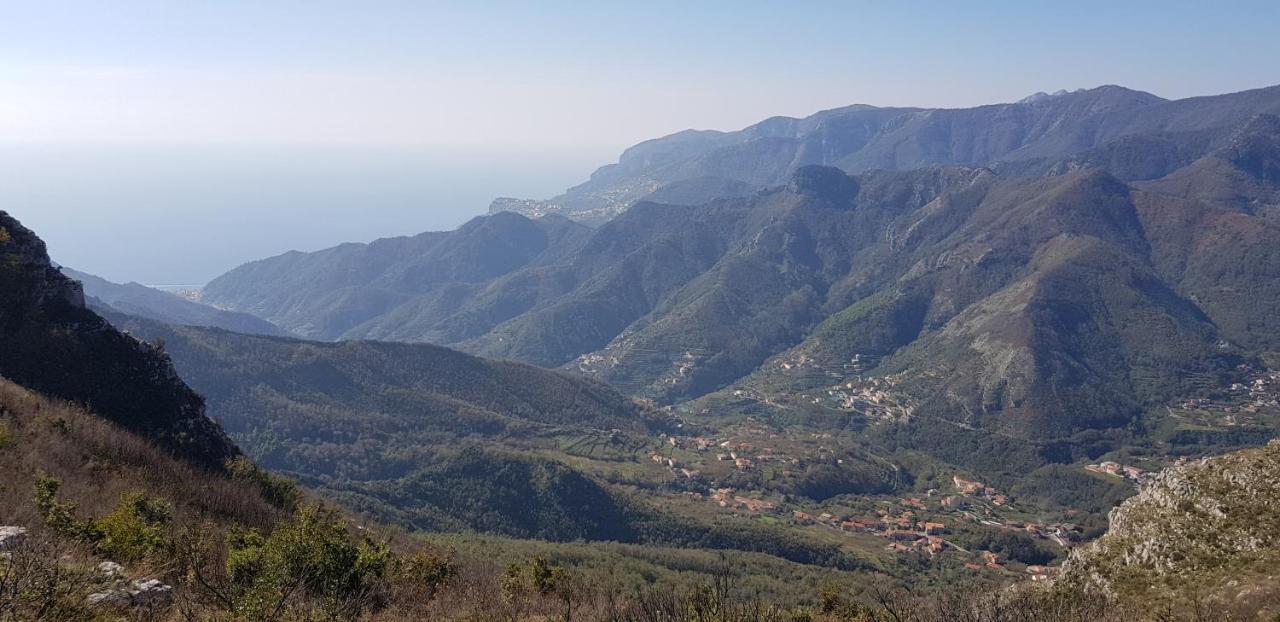 Apicella Casa Vacanze Villa Tramonti Eksteriør billede