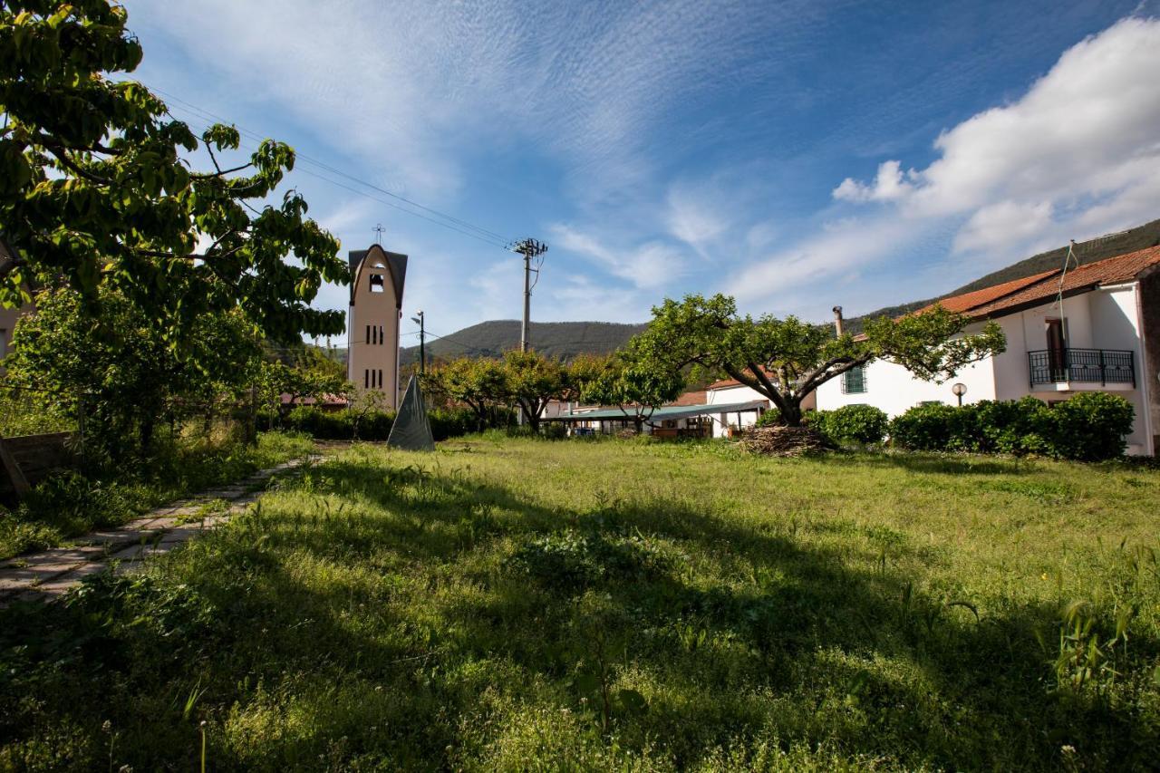 Apicella Casa Vacanze Villa Tramonti Eksteriør billede