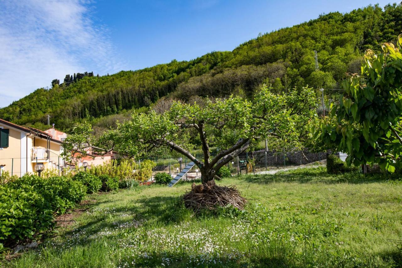 Apicella Casa Vacanze Villa Tramonti Eksteriør billede